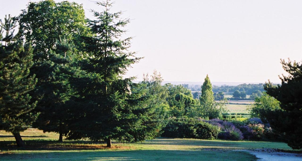 Le Logis Du Pressoir Chambre D'Hotes Bed & Breakfast In Beautiful 18Th Century Estate In The Heart Of The Loire Valley With Heated Pool And Extensive Grounds Les Bois-d'Anjou Exterior foto